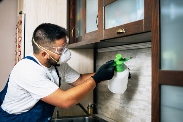 Best Insect Control  in Calverton, MD
