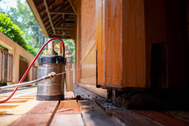Best Pest Removal Services  in Calverton, MD