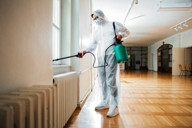 Best Wasp Removal Services  in Calverton, MD