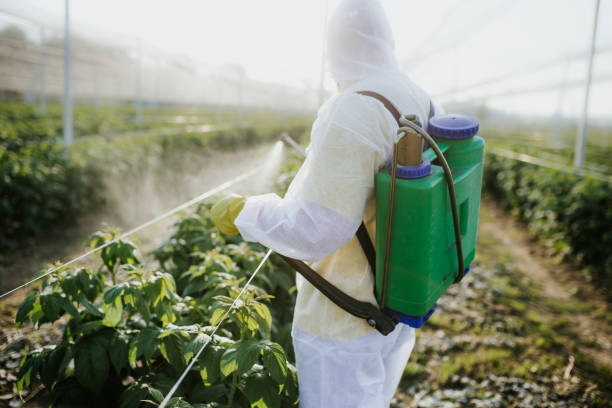 Best Pest Prevention Services  in Calverton, MD